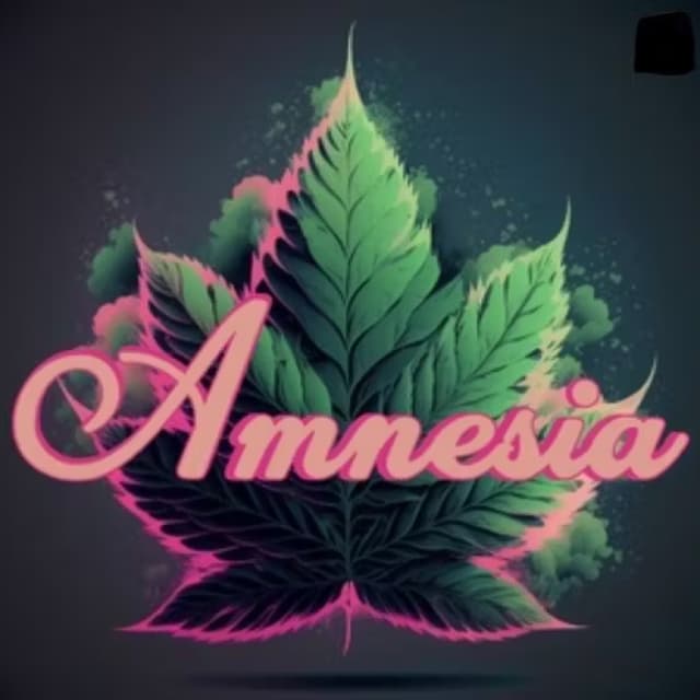 Amnesia