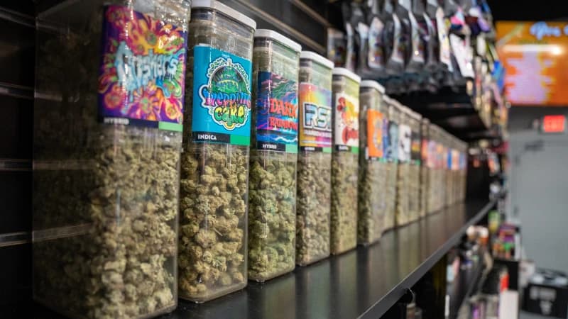 Monroe Michigan dispensary local community