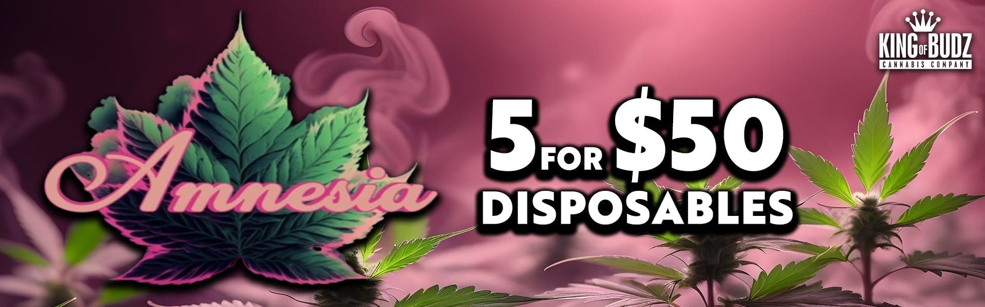 Amnesia 1g Disposables 5/$50
