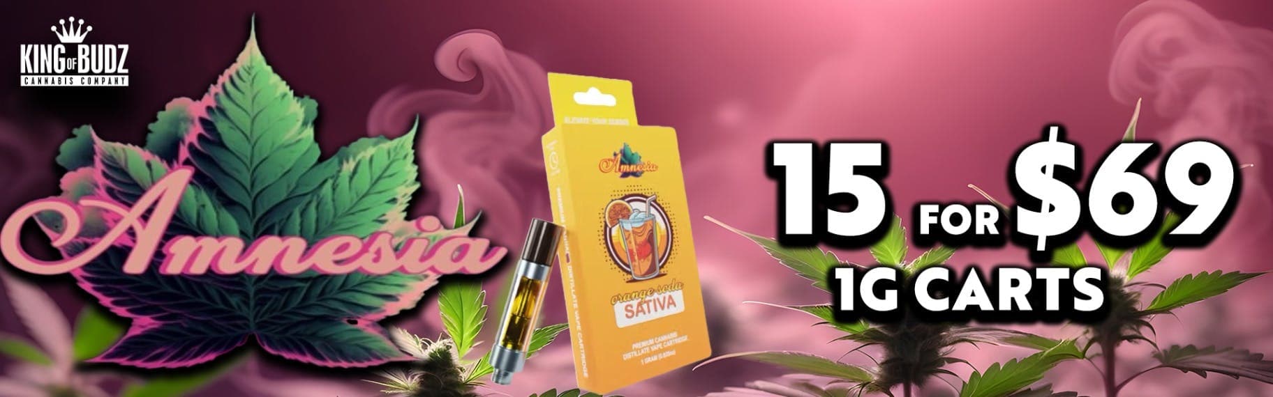Amnesia 1g Carts 15/$69